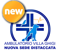 Ambulatorio Veterinario Villa Ghigi