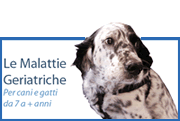 MALATTIE GERIATRICHE